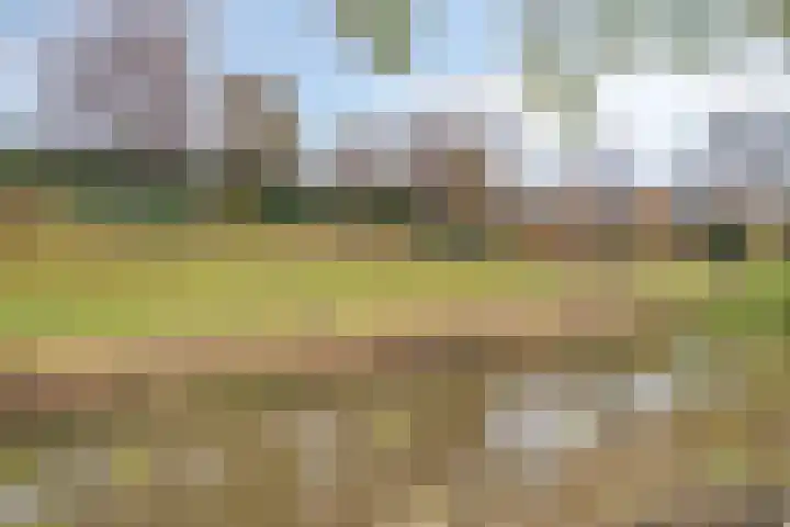 Gangboord 24 Amersfoort thumbnail 38