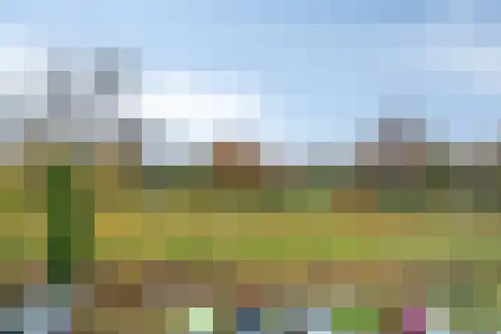Gangboord 24 Amersfoort thumbnail 39