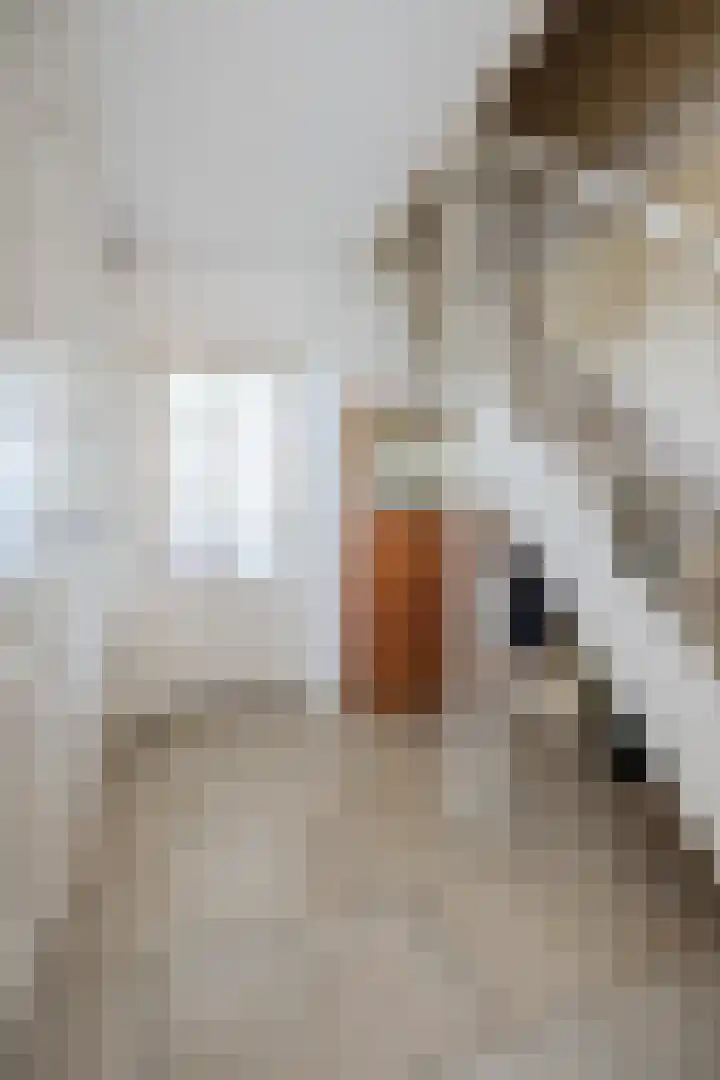 Gangboord 3 Papendrecht thumbnail 21