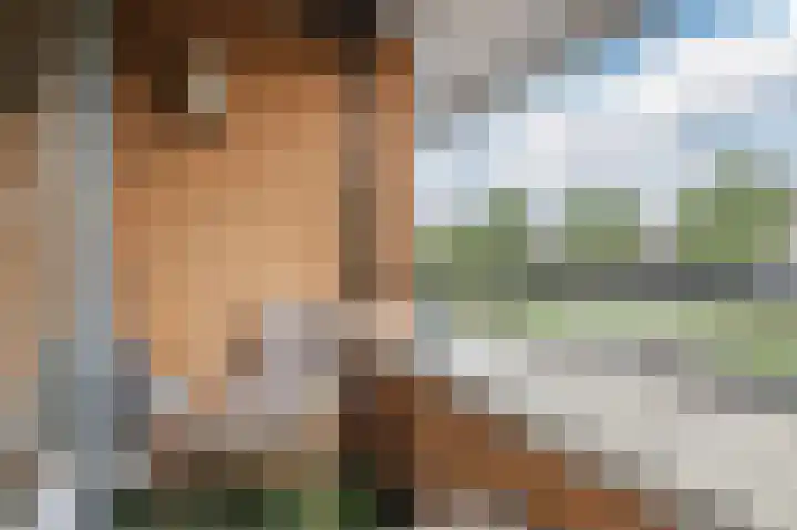 Gangboord 3 Papendrecht thumbnail 45