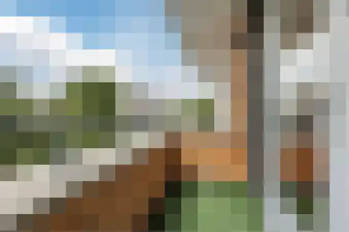 Gangboord 3 Papendrecht thumbnail 49
