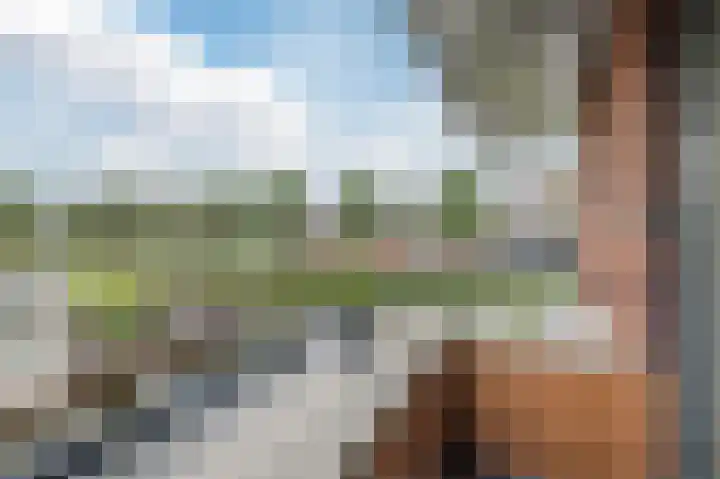 Gangboord 3 Papendrecht thumbnail 51