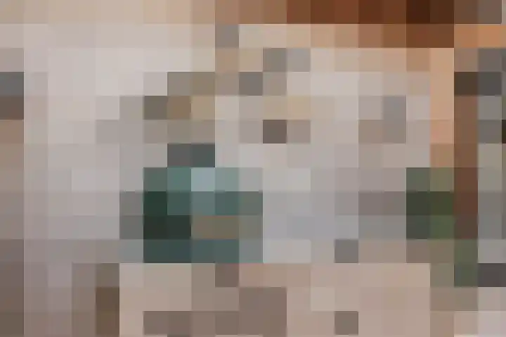 Gangboord 3 Papendrecht thumbnail 57