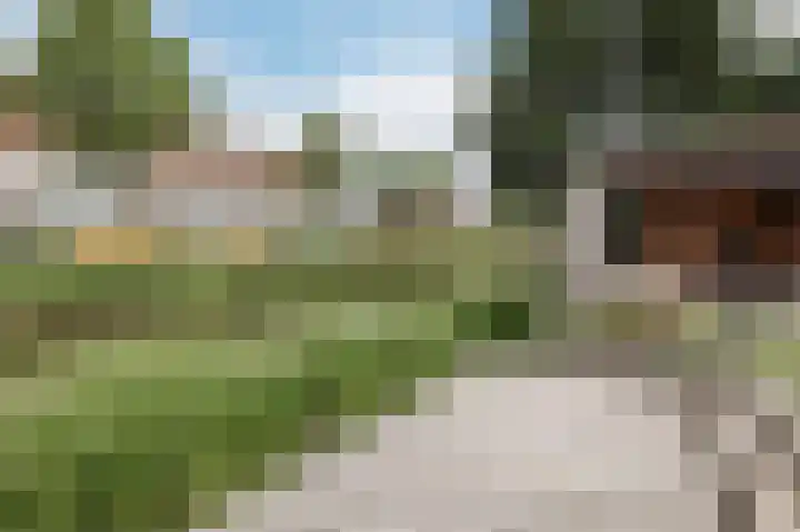 Gangboord 3 Papendrecht thumbnail 63