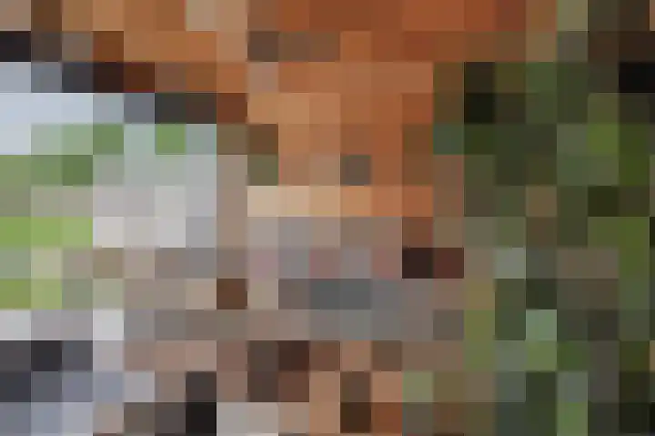 Gangboord 3 Papendrecht thumbnail 65