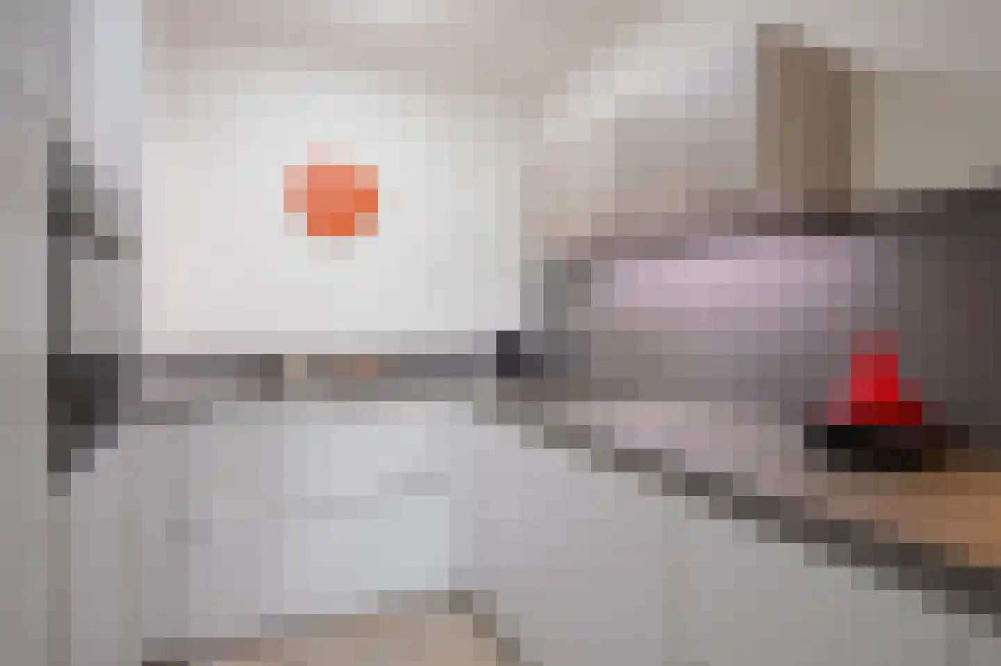 Gangboord 31 Maasbracht thumbnail 15
