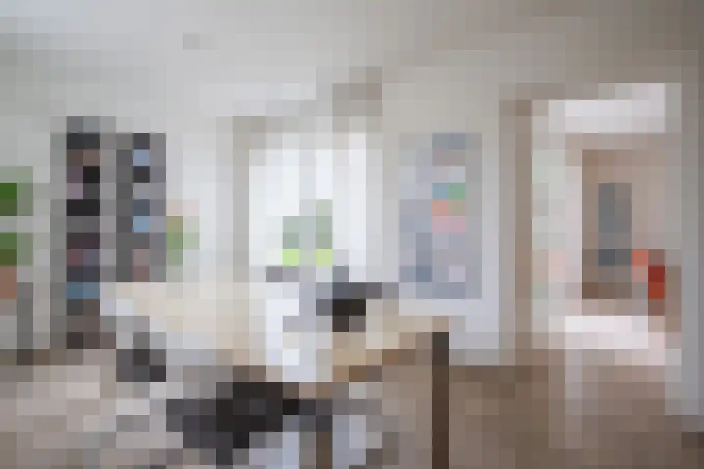 Gangboord 31 Maasbracht thumbnail 17