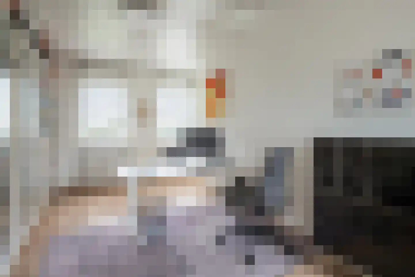 Gangboord 31 Maasbracht thumbnail 27