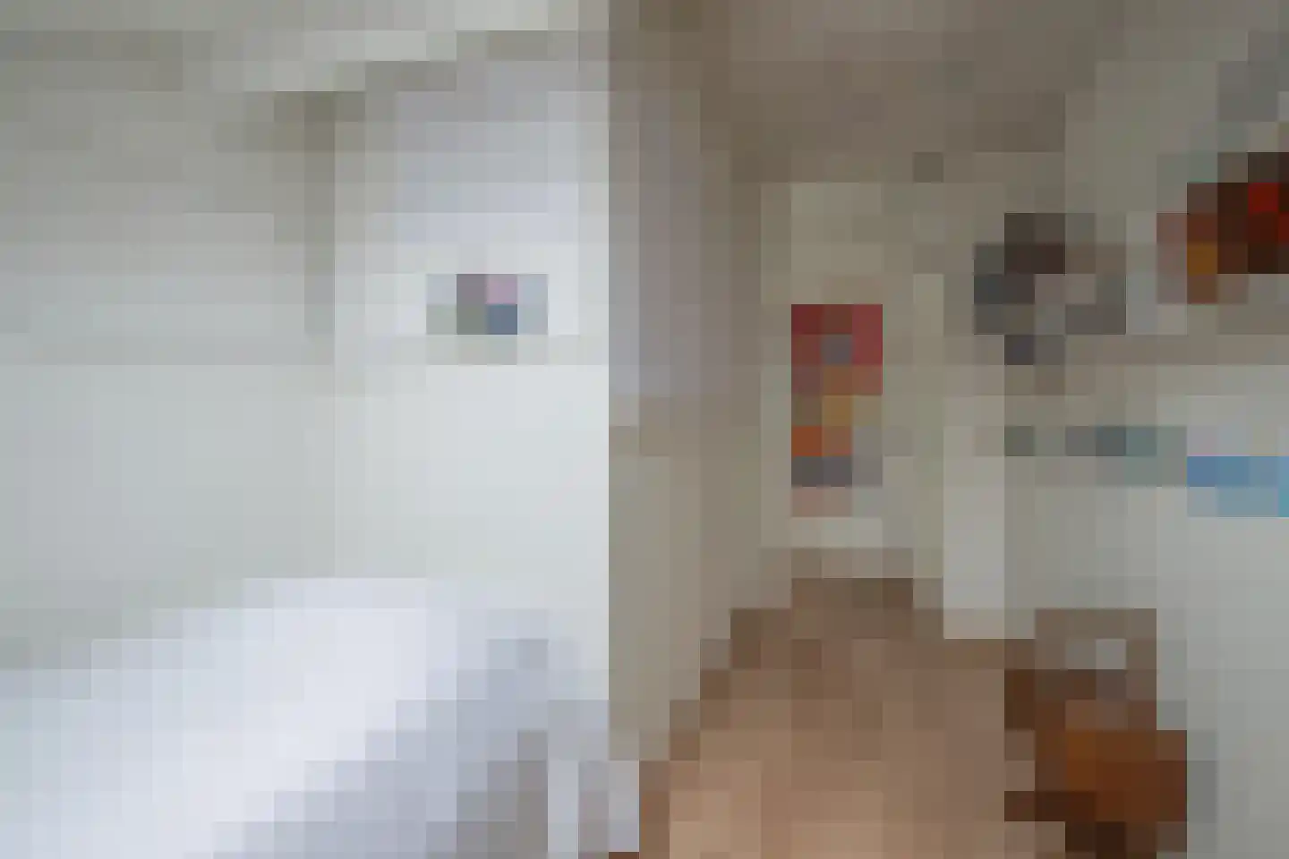 Gangboord 31 Maasbracht thumbnail 29