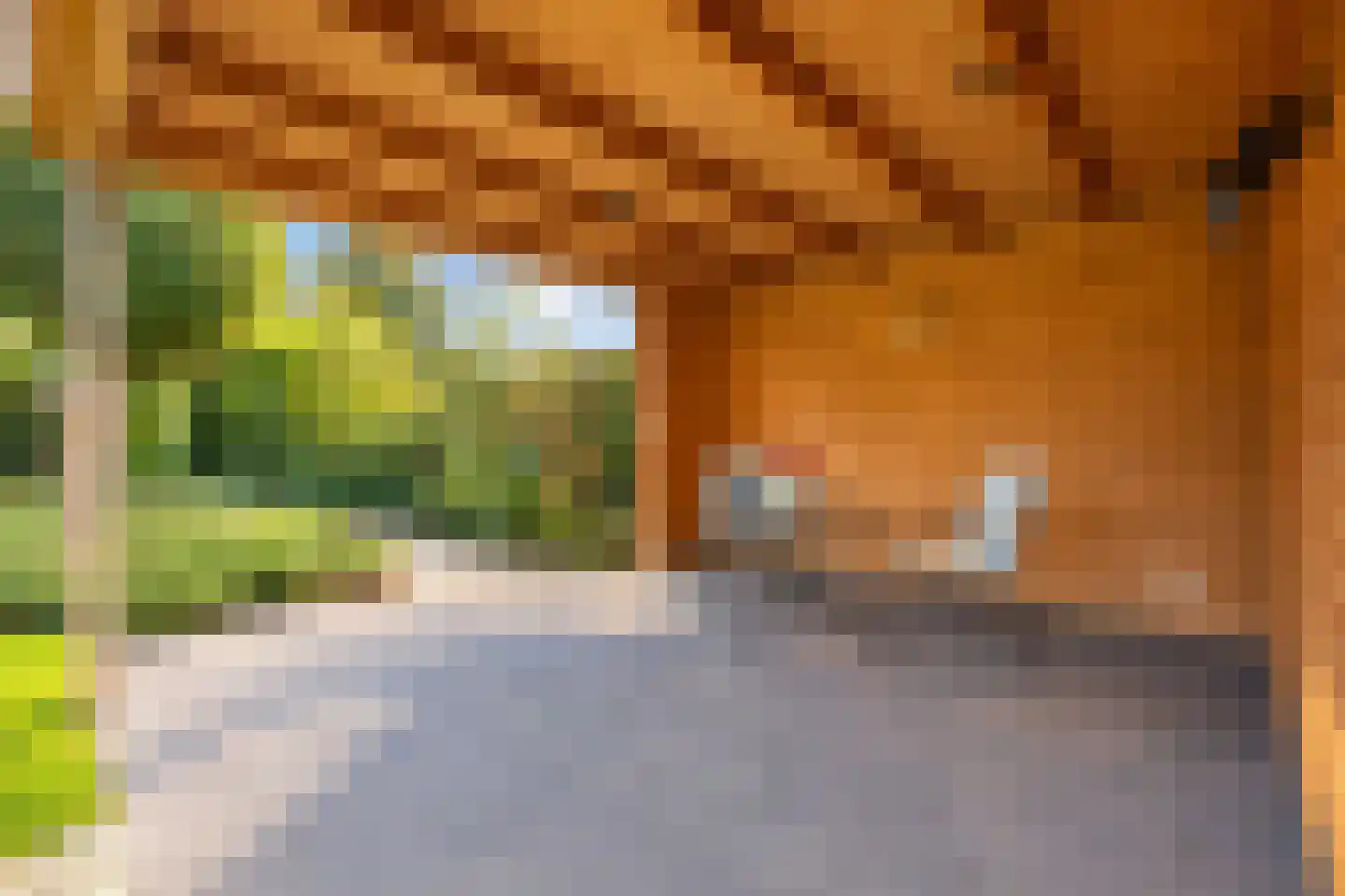 Gangboord 31 Maasbracht thumbnail 37