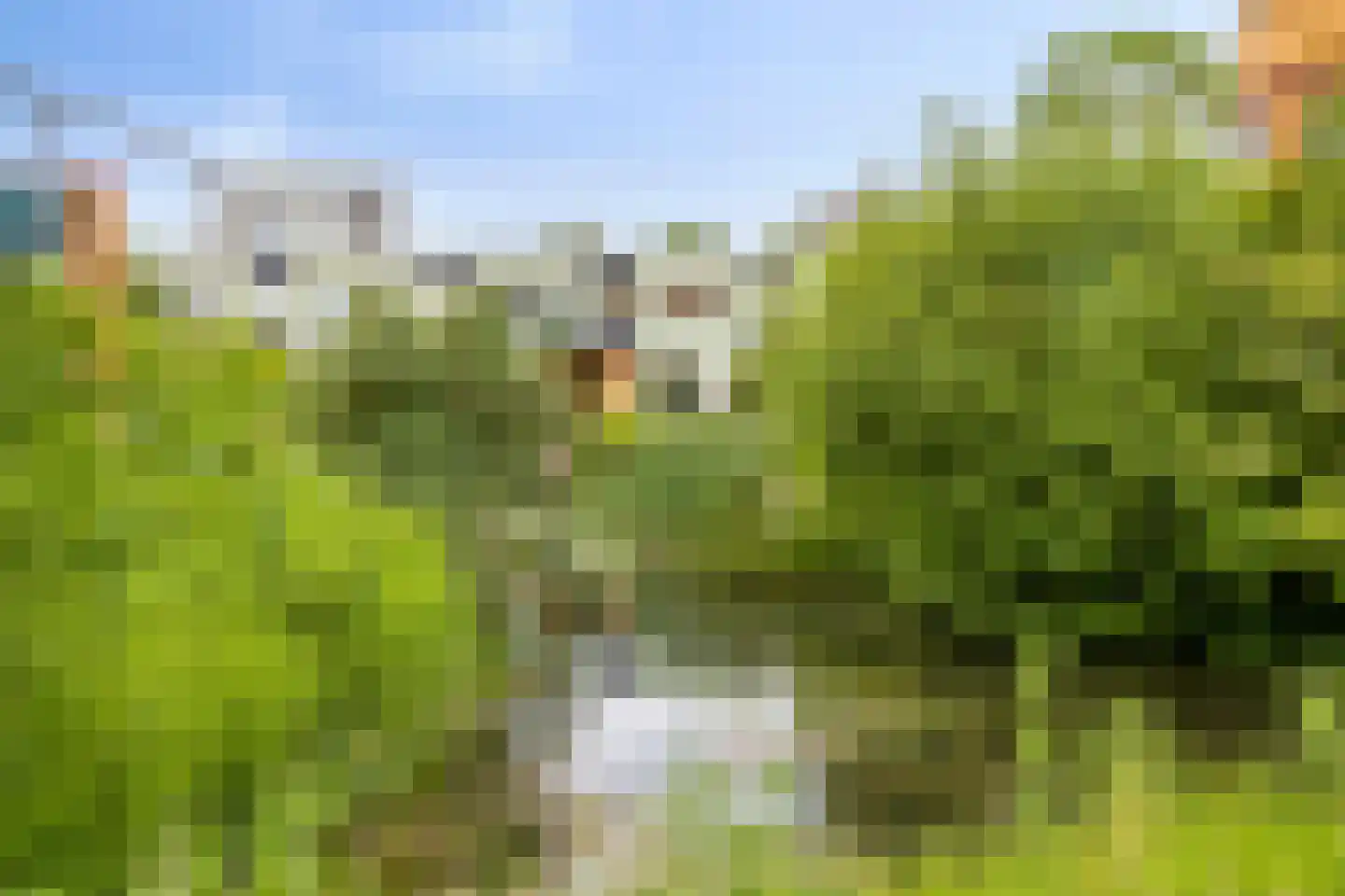 Gangboord 37 Amersfoort thumbnail 32