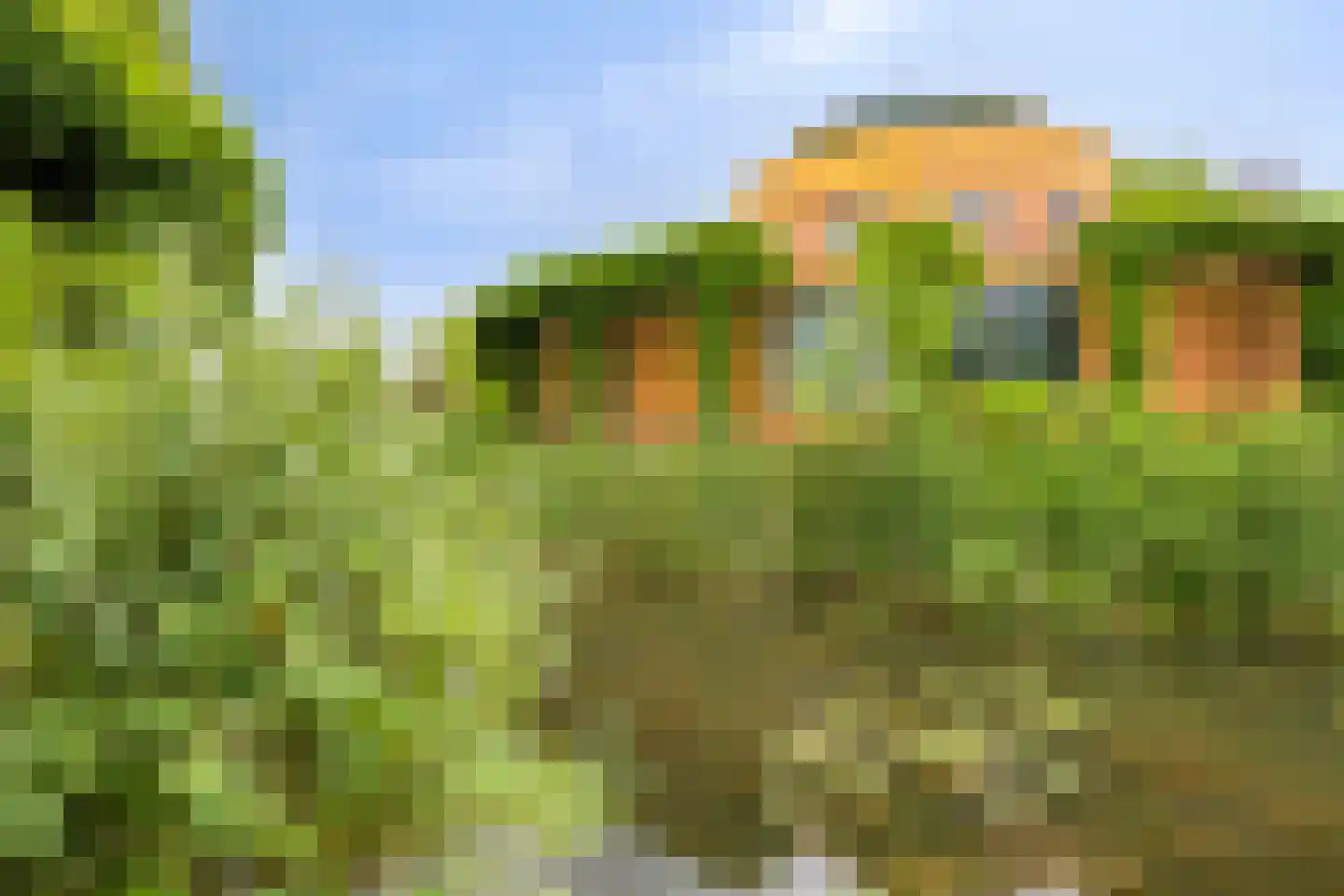 Gangboord 37 Amersfoort thumbnail 33