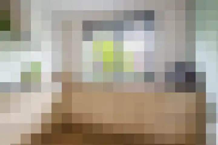 Gangboord 4 Almere thumbnail 13