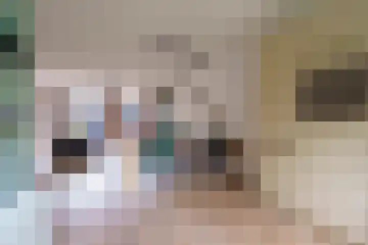 Gangboord 4 Almere thumbnail 15