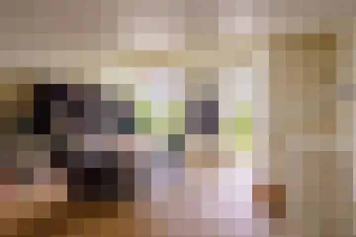Gangboord 4 Almere thumbnail 28