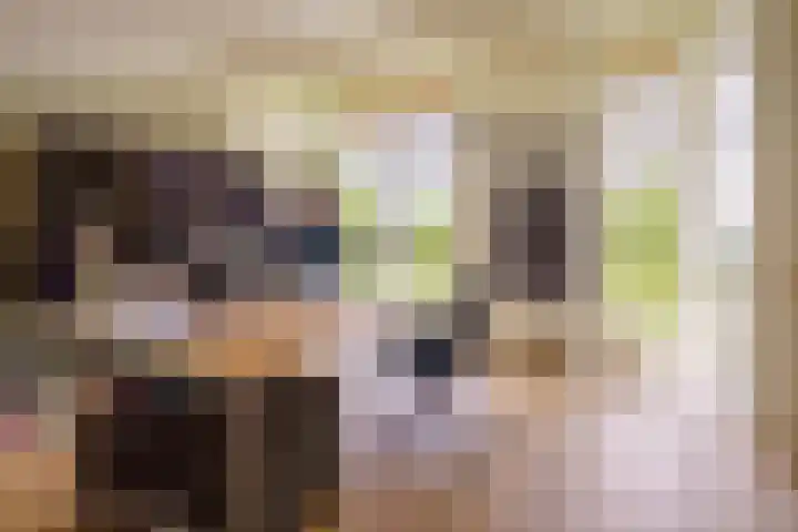Gangboord 4 Almere thumbnail 29