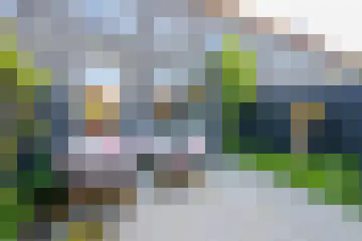 Gangboord 4 Almere thumbnail 34
