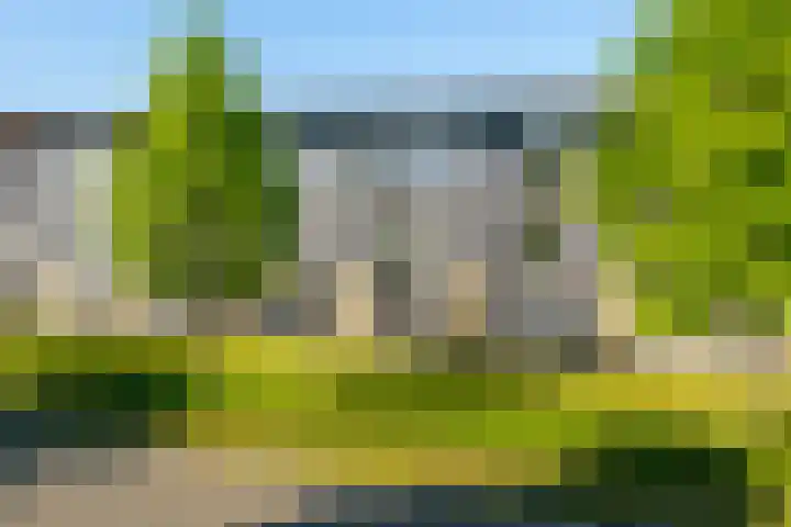Gangboord 4 Almere thumbnail 44