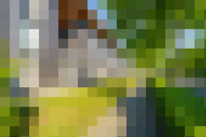 Gangboord 4 Almere thumbnail 46