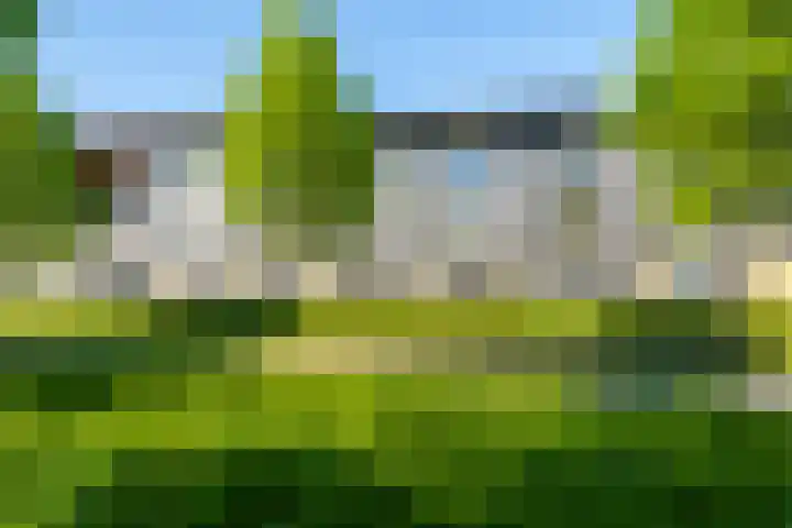 Gangboord 4 Almere thumbnail 52