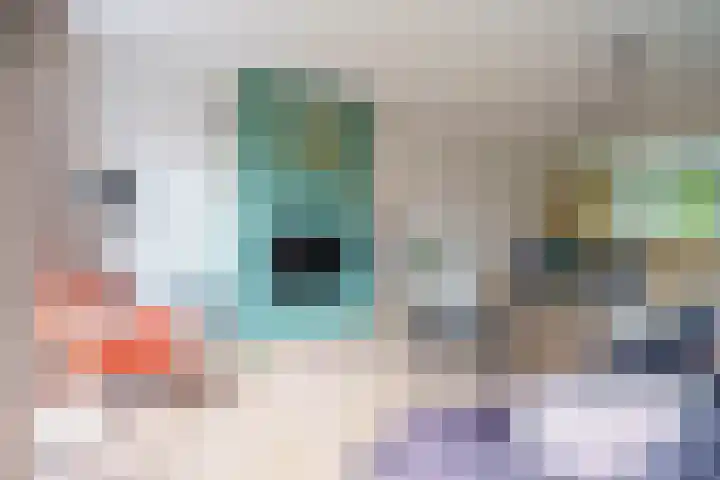 Gangboord 4 Almere thumbnail 6
