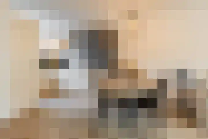 Gangboord 4 Groningen thumbnail 14