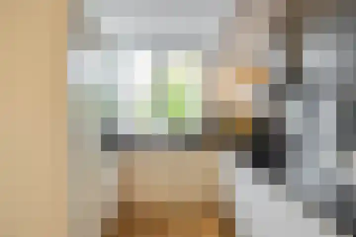 Gangboord 4 Groningen thumbnail 15