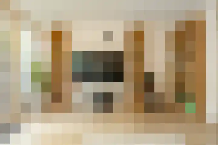 Gangboord 4 Groningen thumbnail 19
