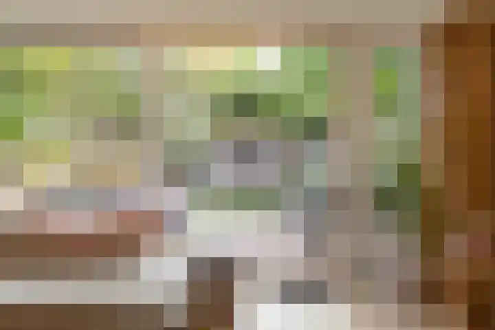 Gangboord 4 Groningen thumbnail 21
