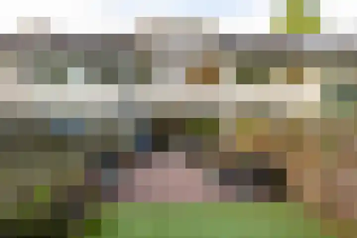 Gangboord 4 Groningen thumbnail 23