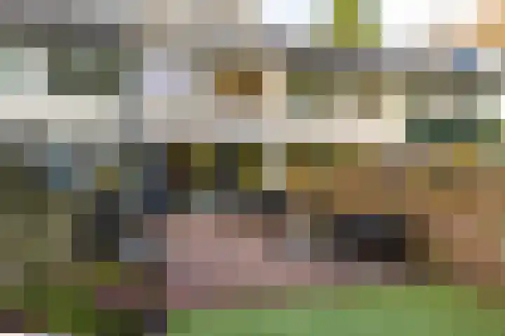 Gangboord 4 Groningen thumbnail 24