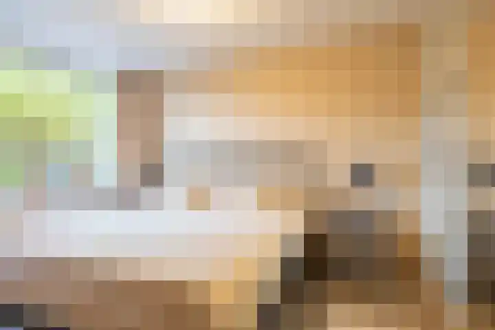 Gangboord 4 Groningen thumbnail 27