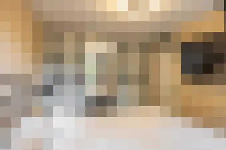 Gangboord 4 Groningen thumbnail 29