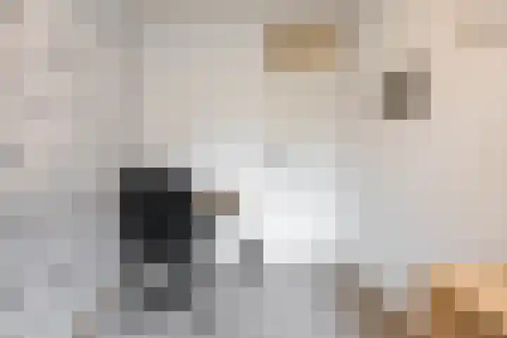 Gangboord 4 Groningen thumbnail 33