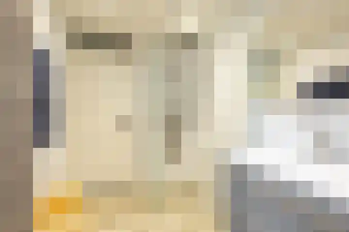 Gangboord 4 Groningen thumbnail 36