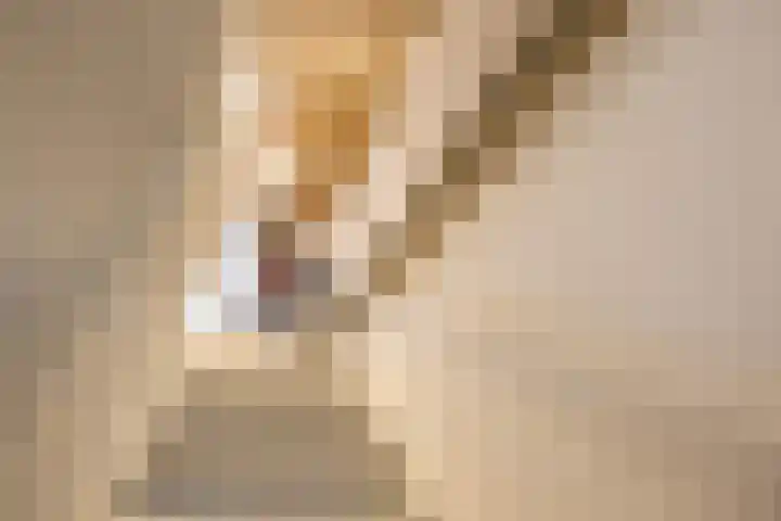 Gangboord 4 Groningen thumbnail 38