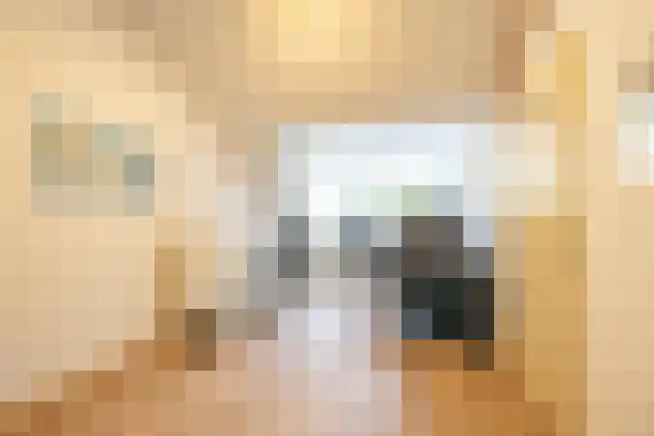 Gangboord 4 Groningen thumbnail 40