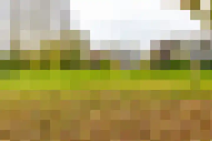 Gangboord 4 Groningen thumbnail 43