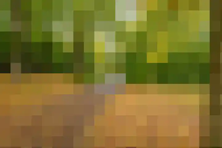Gangboord 4 Groningen thumbnail 44