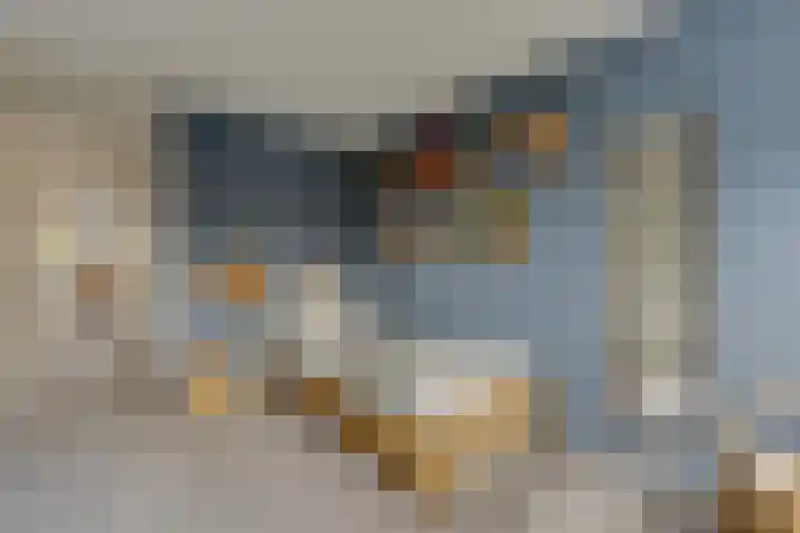 Gangboord 45 Amersfoort thumbnail 12