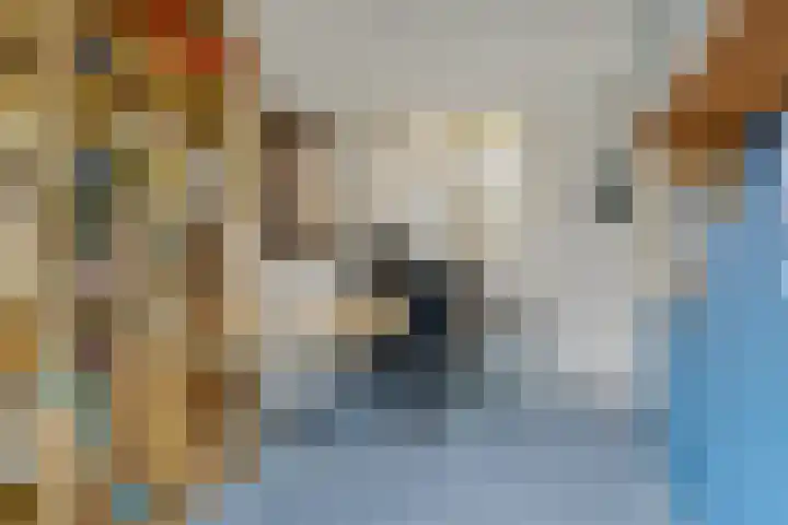 Gangboord 45 Amersfoort thumbnail 14
