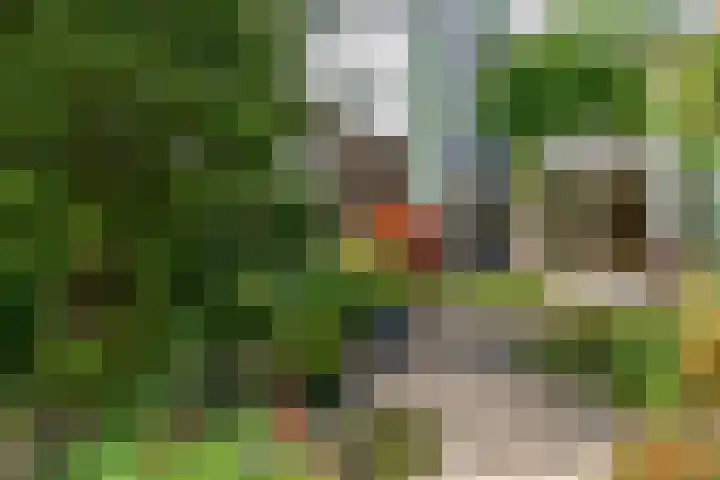 Gangboord 45 Amersfoort thumbnail 22