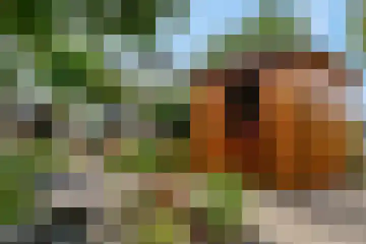 Gangboord 45 Amersfoort thumbnail 24