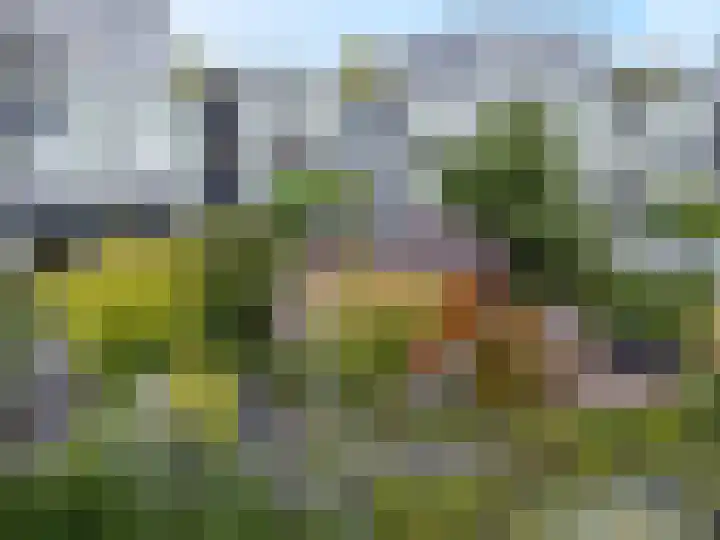 Gangboord 45 Amersfoort thumbnail 26