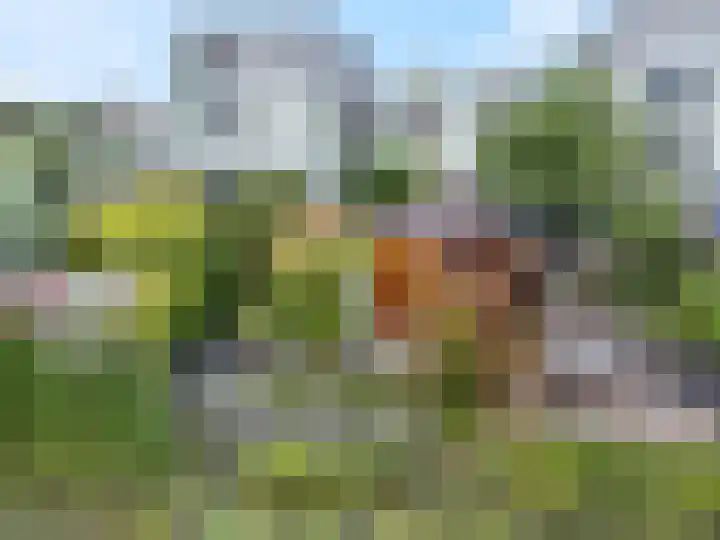 Gangboord 45 Amersfoort thumbnail 27