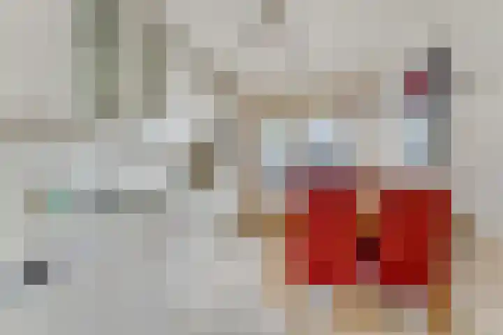 Gangboord 45 Amersfoort thumbnail 8
