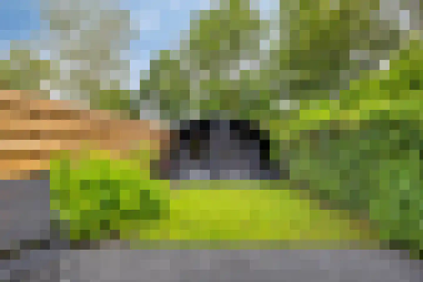 Gangboord 49 Groningen thumbnail 46