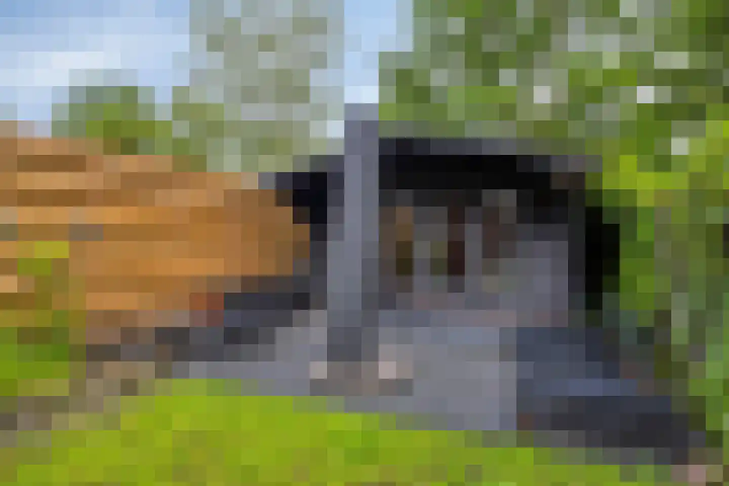 Gangboord 49 Groningen thumbnail 48