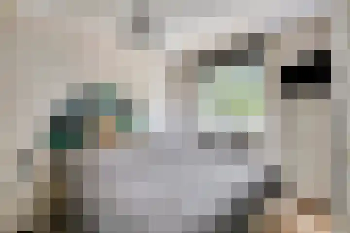 Gangboord 50 Amersfoort thumbnail 14