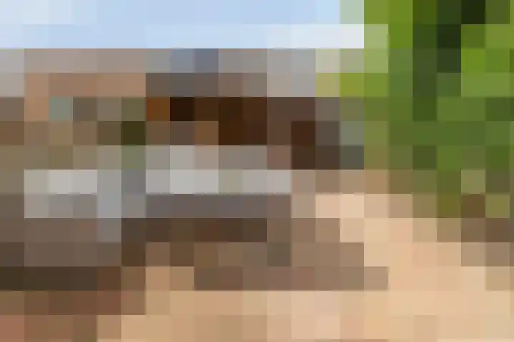 Gangboord 50 Amersfoort thumbnail 23